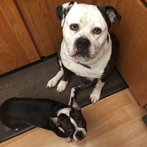 Meet your Posher, Lori